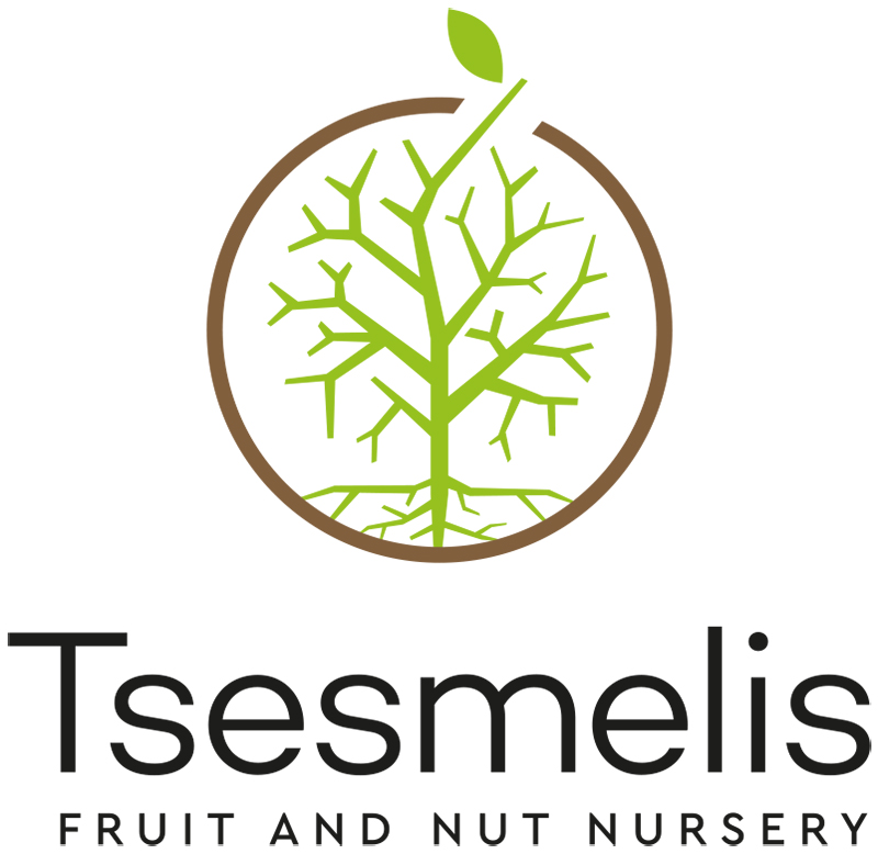Logos-Tsesmelis-EN.jpg